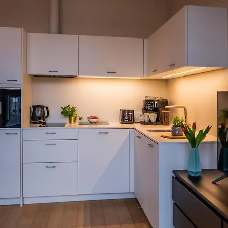 Apartamento Tempus Te In Noblessner Tallin
