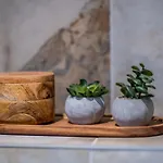 Tempus Te In Noblessner Apartamento *